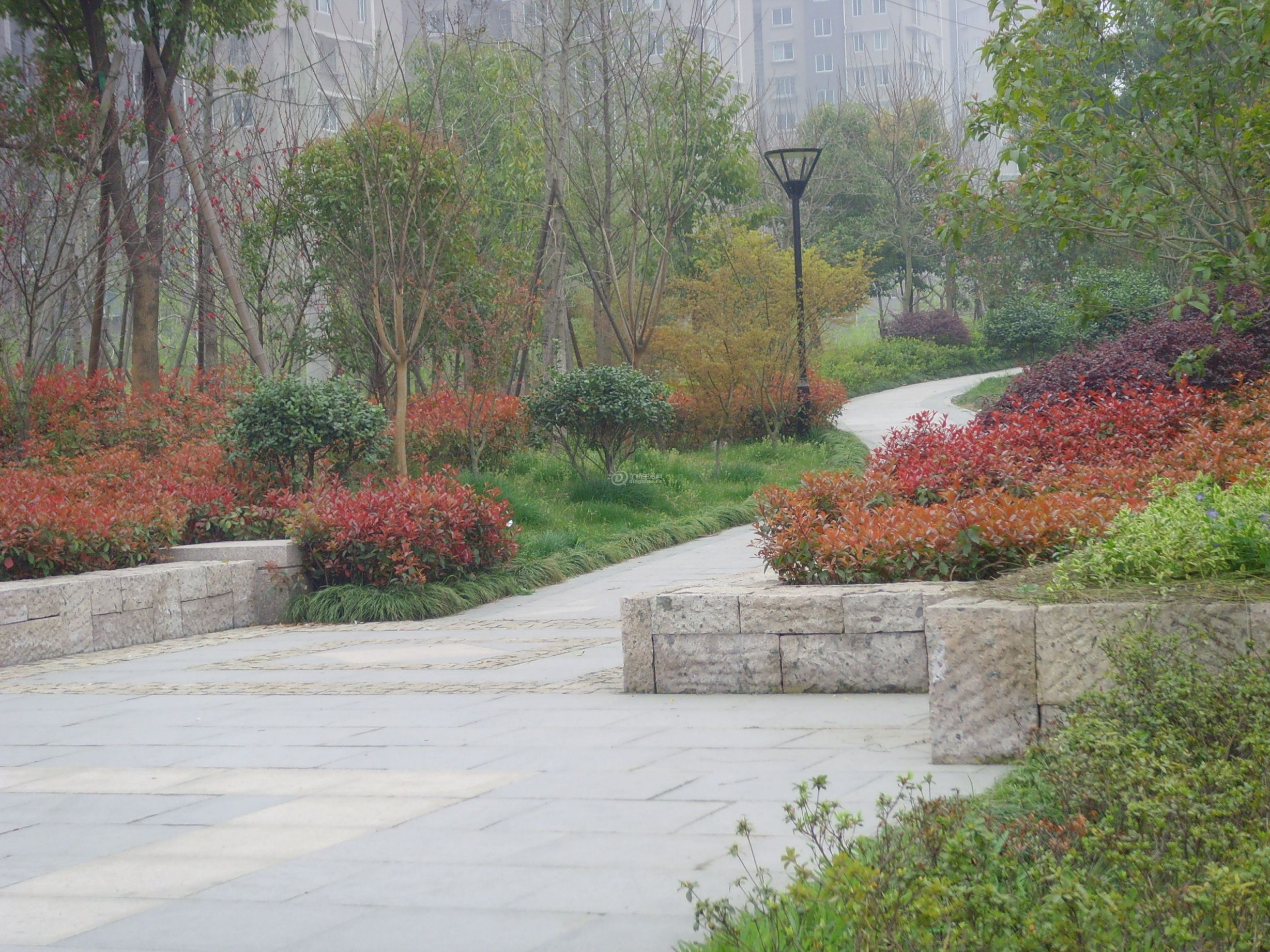 SNV31340.JPG