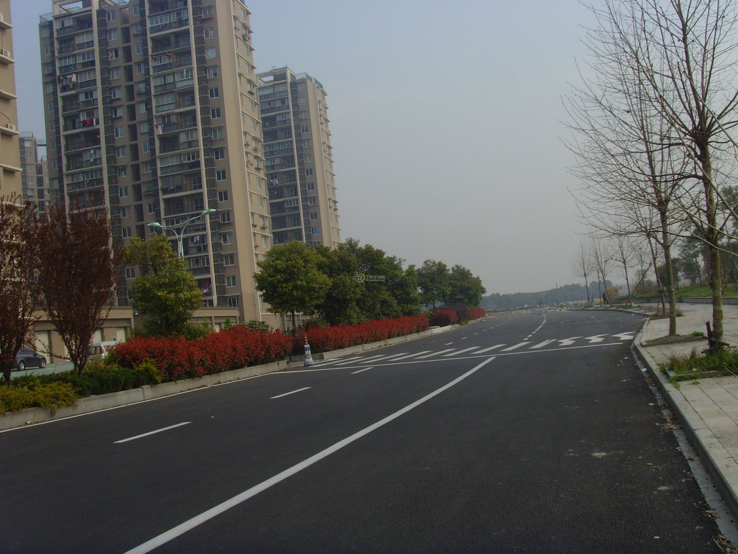 SNV31333.JPG