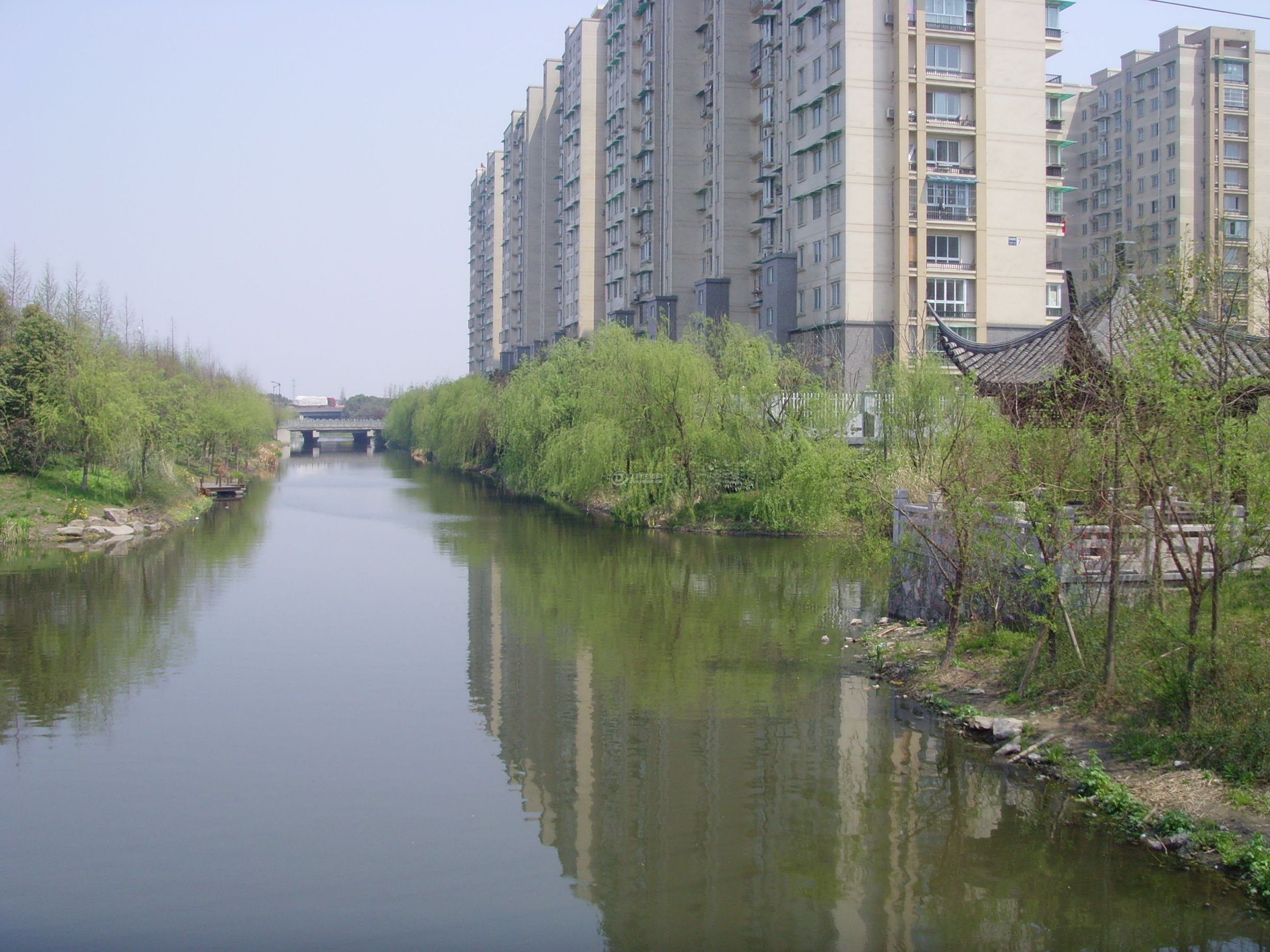 SNV31372.JPG