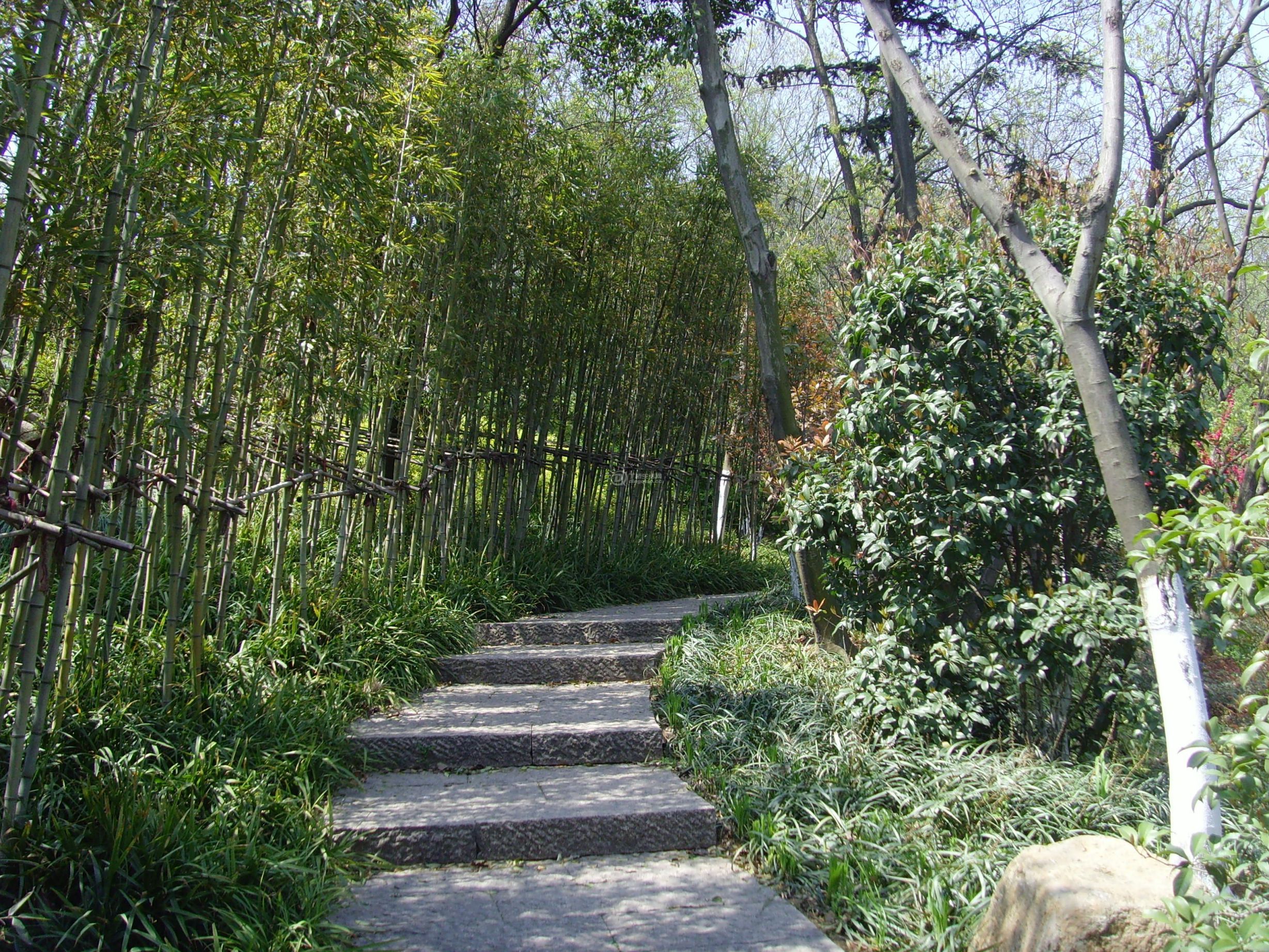 SNV31524.JPG