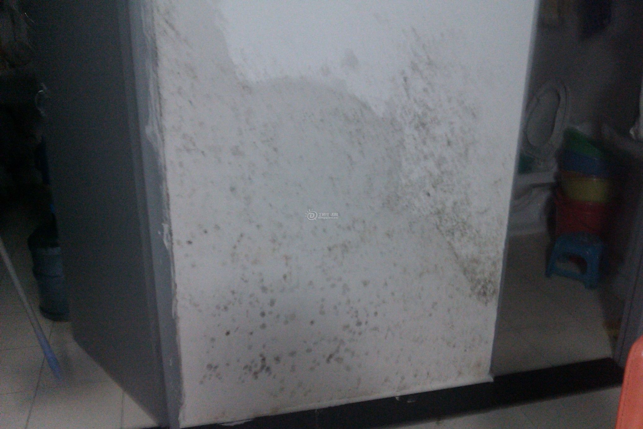 IMAG0184.jpg