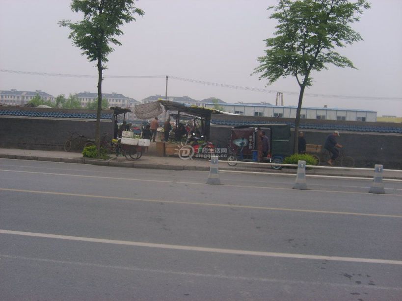 S6000461.JPG