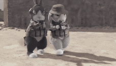 20110211_1b1e208eec7971f49f1eKxrL2Lpmalml.gif