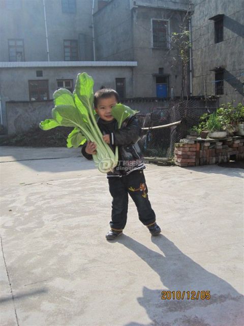 4.jpg 4.jpg