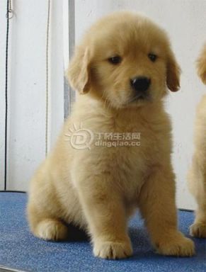 13865900[1].jpg