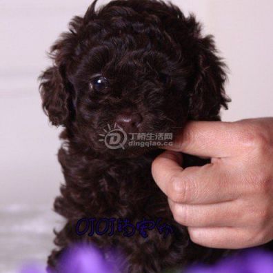 135195[1].jpg