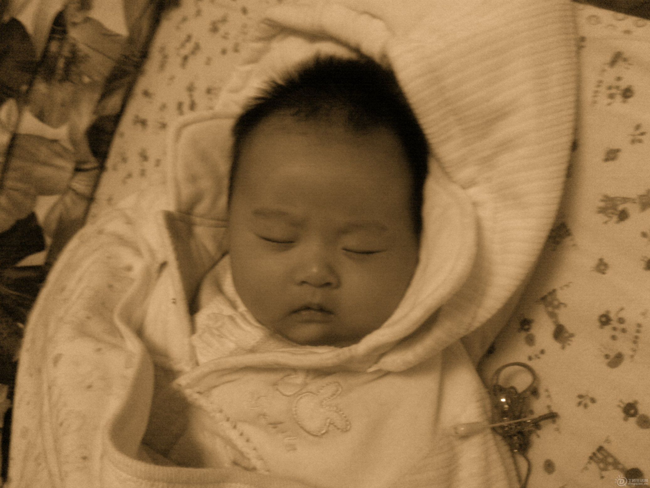 20101206215.jpg