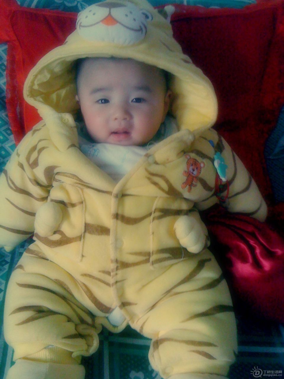 2011.3.7 (20).jpg