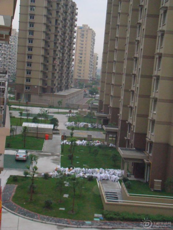 DSC01169.jpg