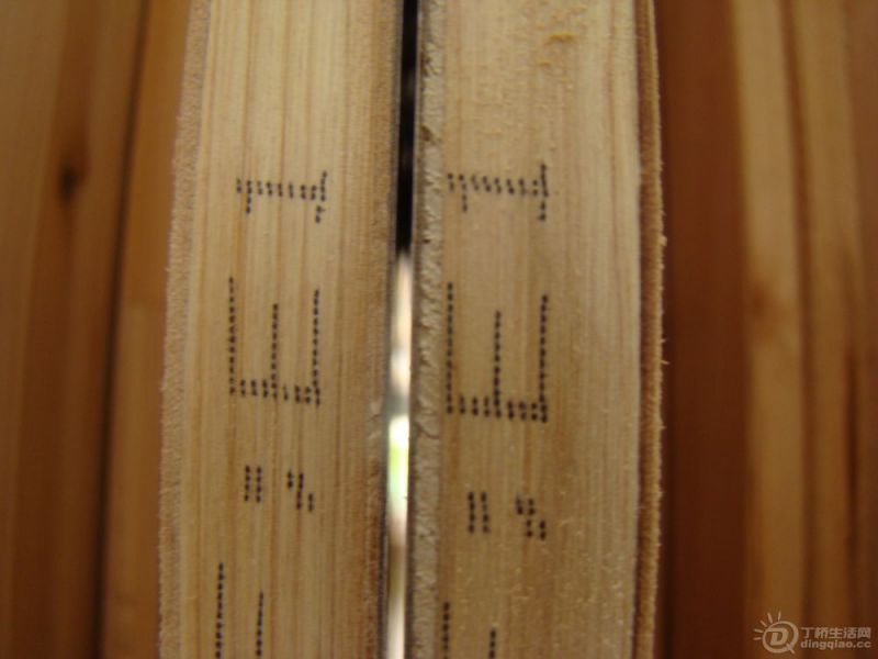 DSC01181.jpg