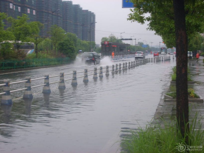 S6000183.JPG