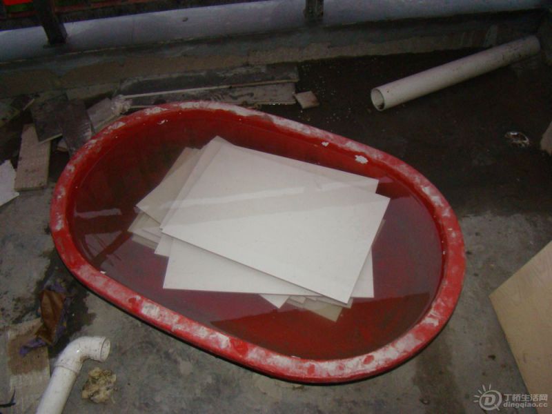 DSC00004.jpg