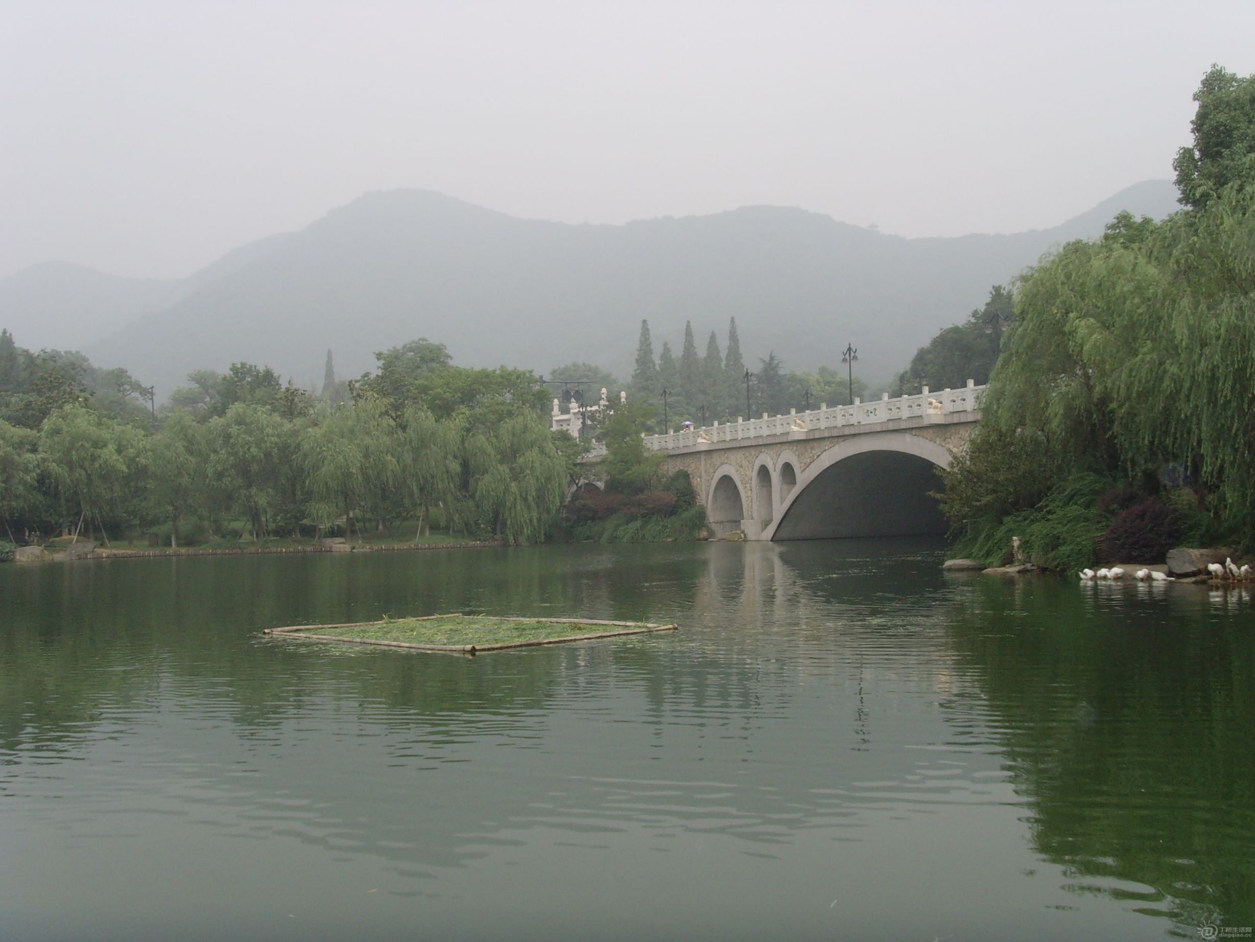 SNV31707.JPG