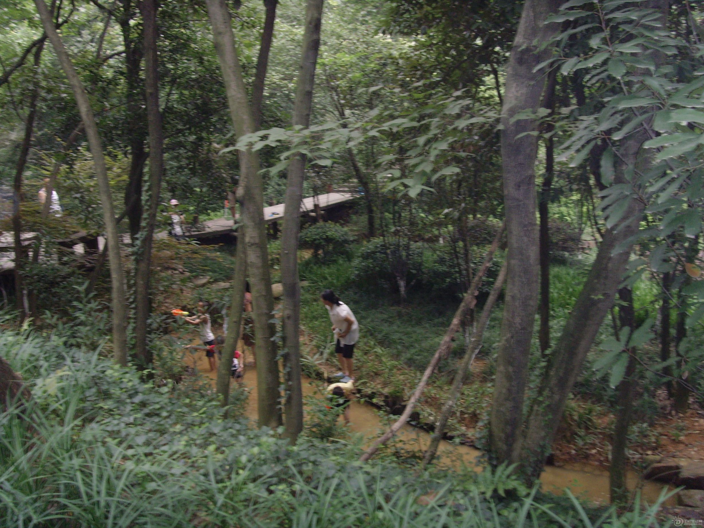 SNV31724.JPG