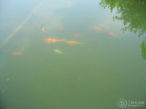 Ƭ 014.jpg