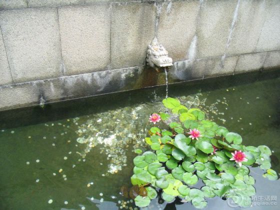 Ƭ 056.jpg