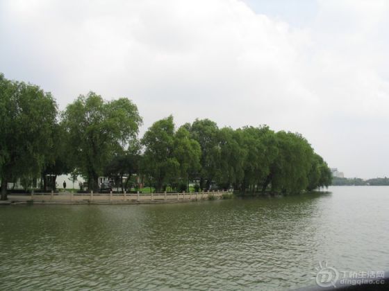 Ƭ 075.jpg
