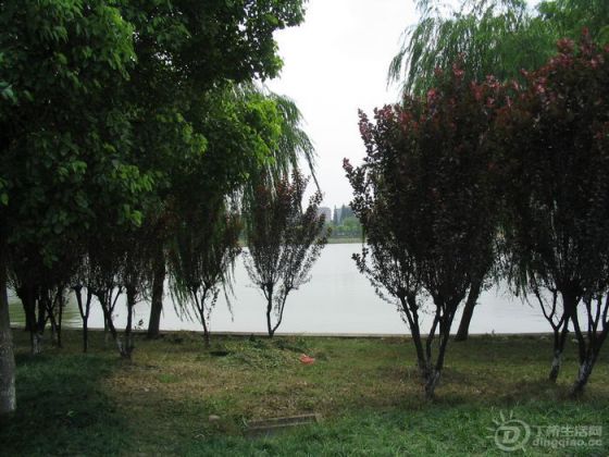 Ƭ 078.jpg