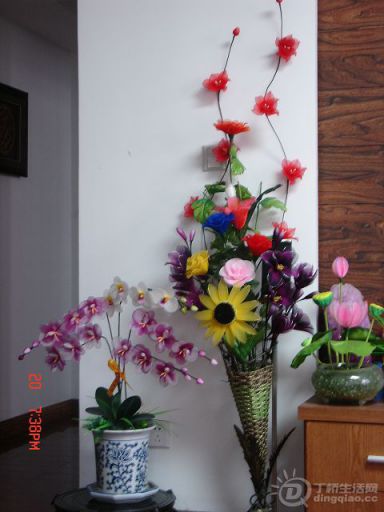 DSC00064.JPG