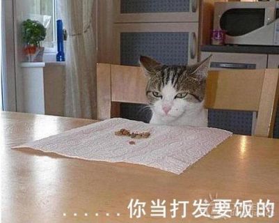 p_large_w5Be_53f900046c0c5c3f.jpg