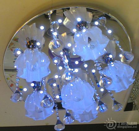 20110819_.jpg