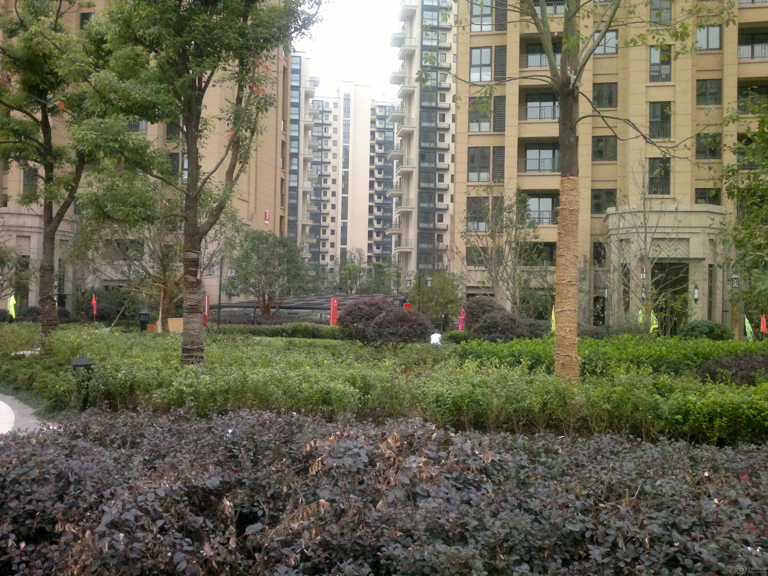 20110927069.jpg