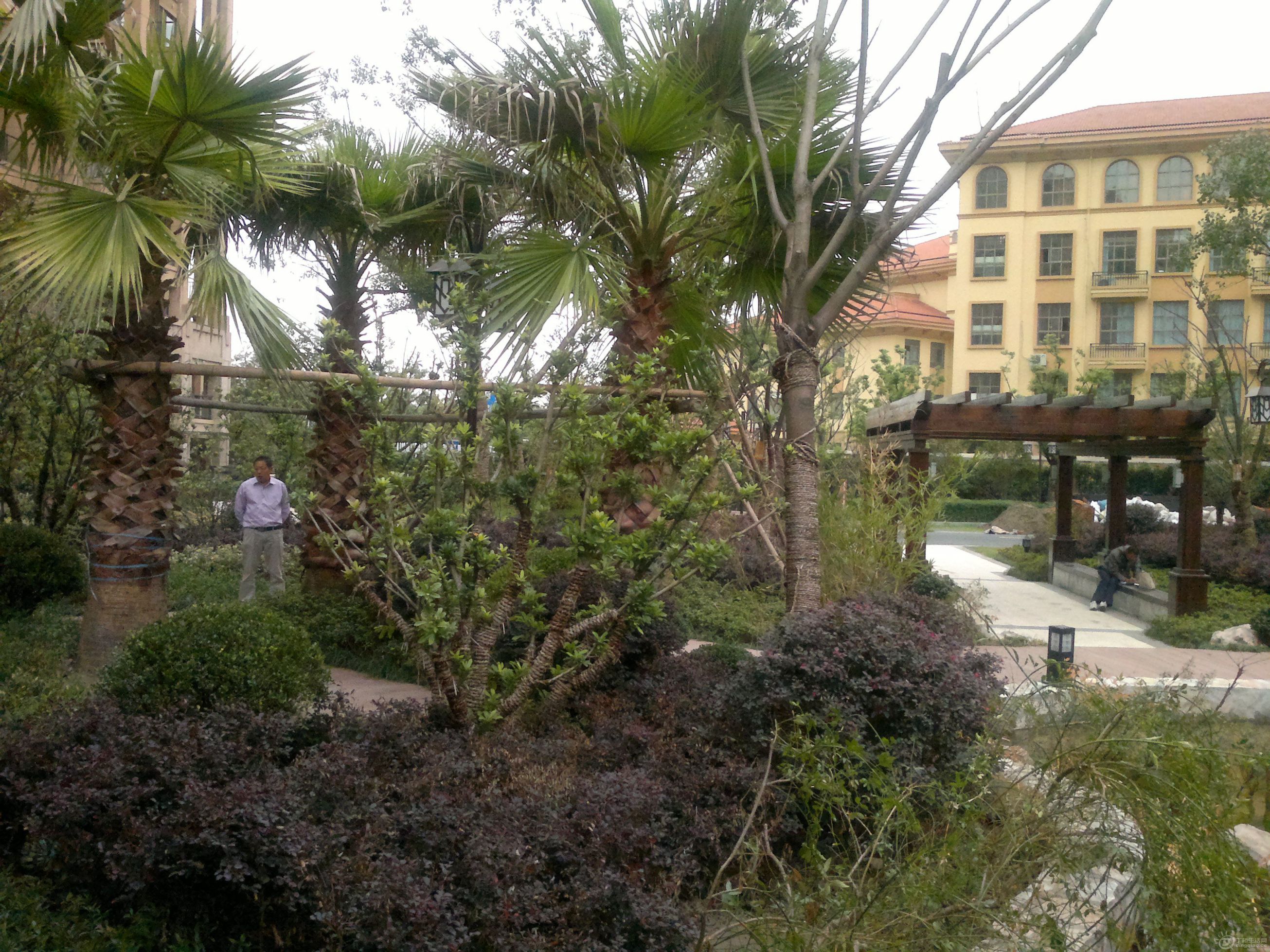 20110927094.jpg