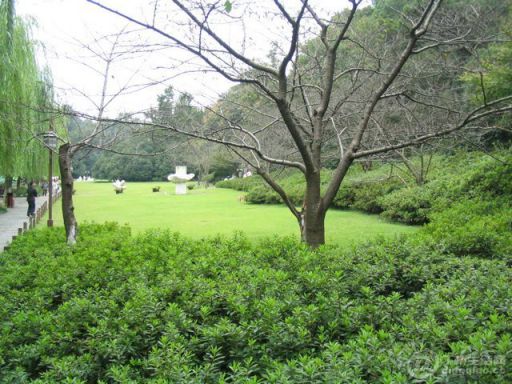 Ƭ 015.jpg