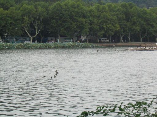 Ƭ 026.jpg