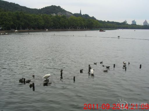 Ƭ 027.jpg