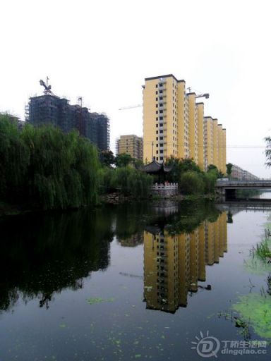 SAM_0886.jpg