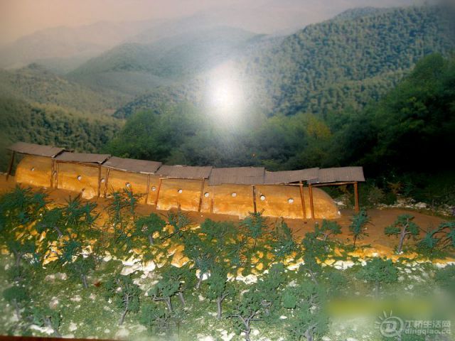SDC10614.jpg