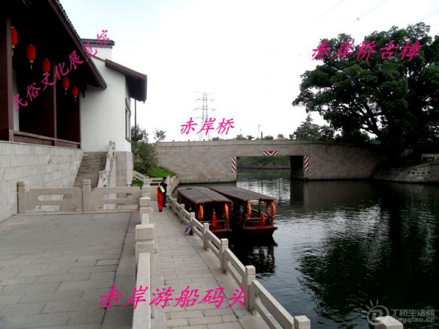 SAM_8617.jpg