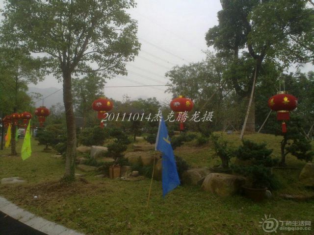 201110141606__1.jpg