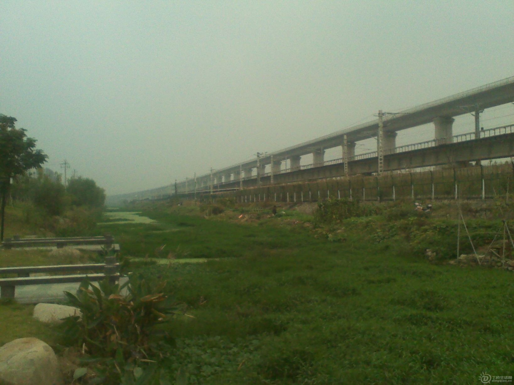 IMG_20111030_094204.jpg