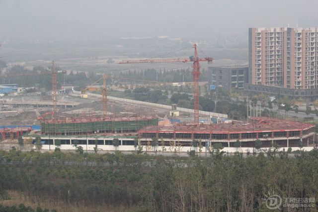 133.jpg