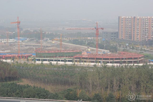 137.jpg