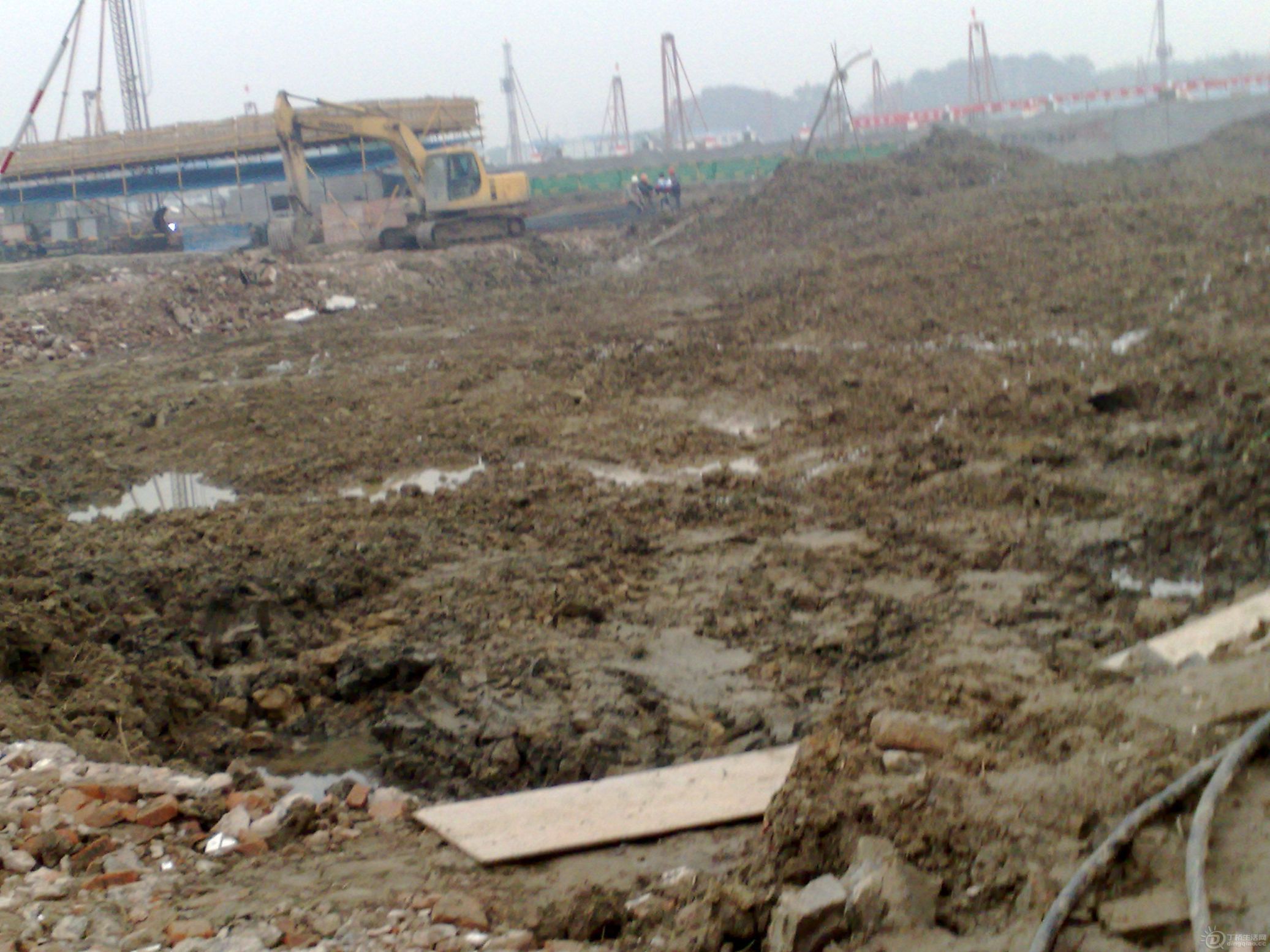 20111117123.jpg