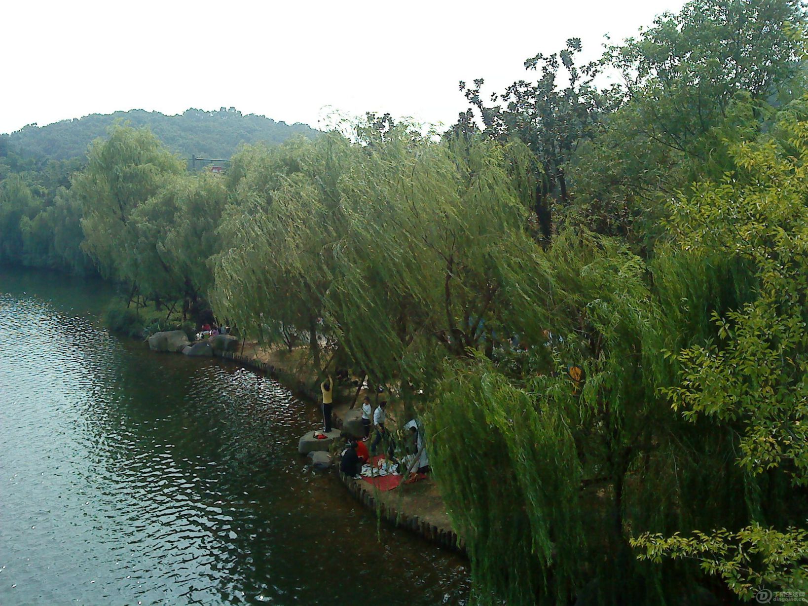 DSC01928.JPG