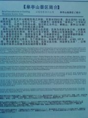 DSC02088.JPG