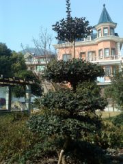 DSC02097.JPG