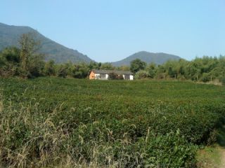DSC02100.JPG