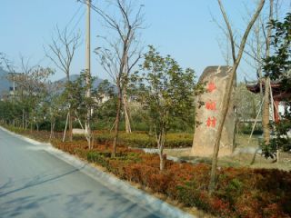 DSC02105.JPG