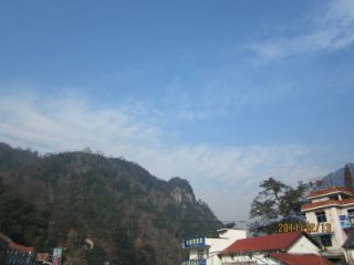Ƭ 305.JPG