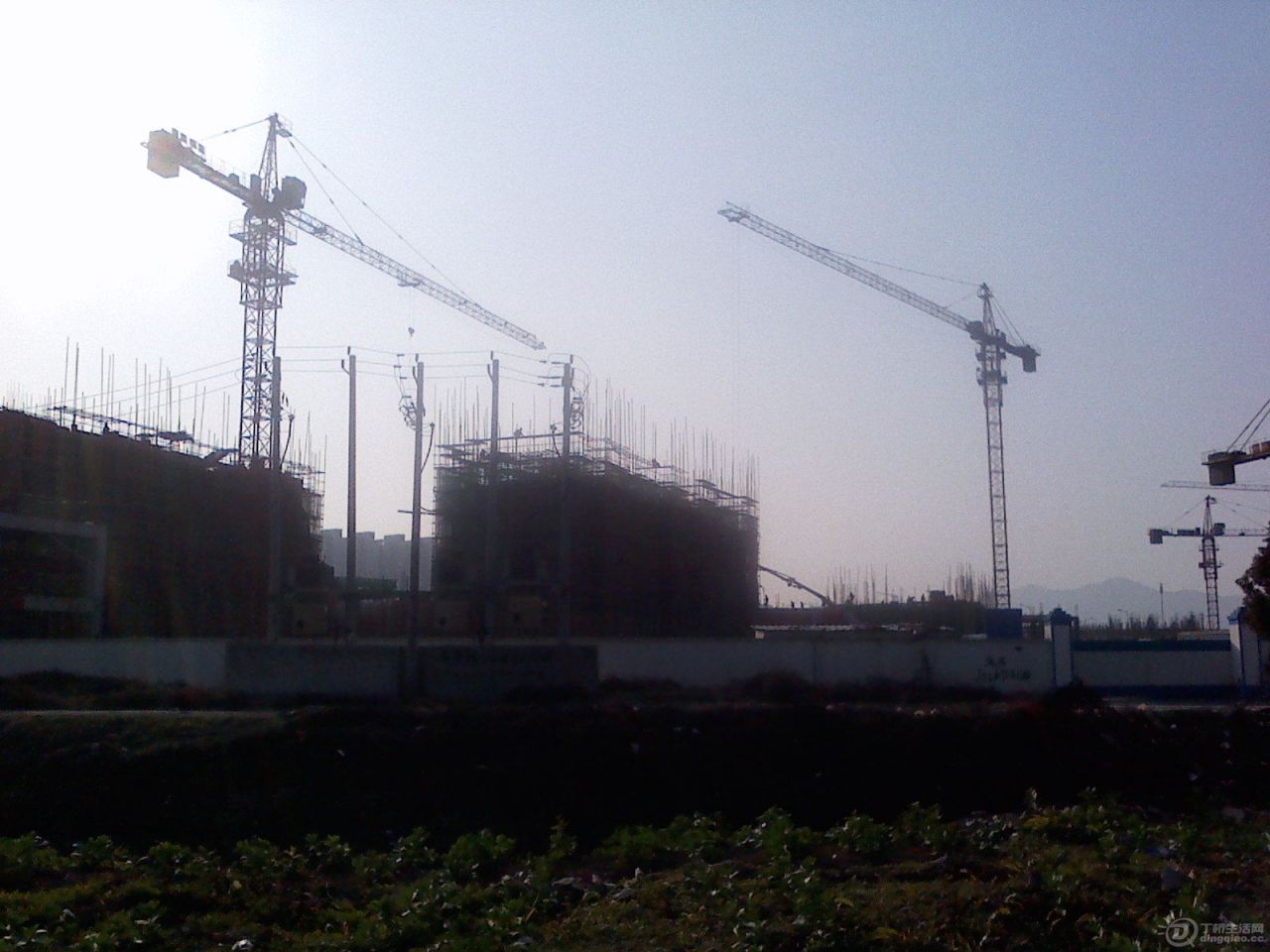 IMG1224144000.jpg