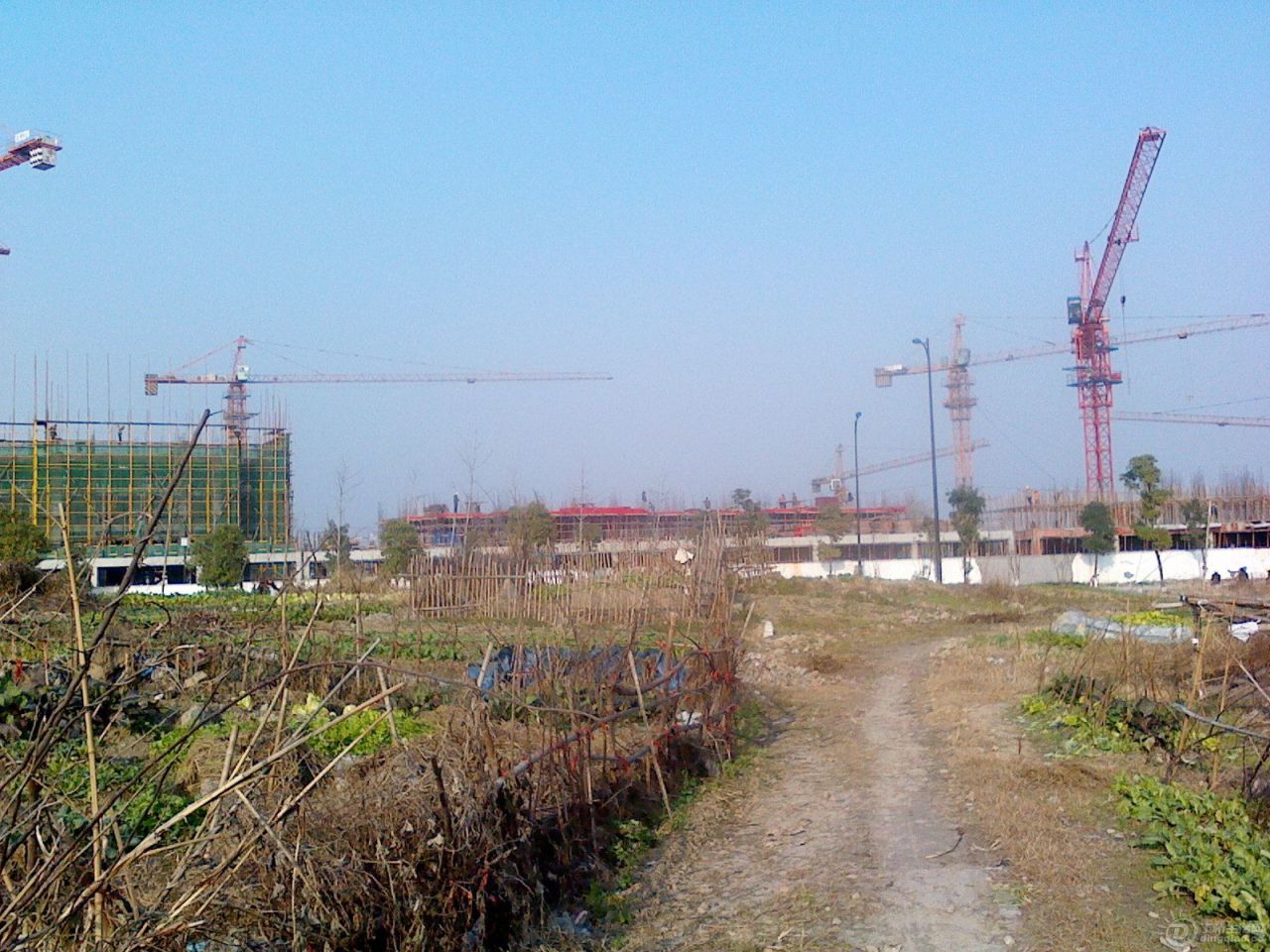 IMG1224145800.jpg