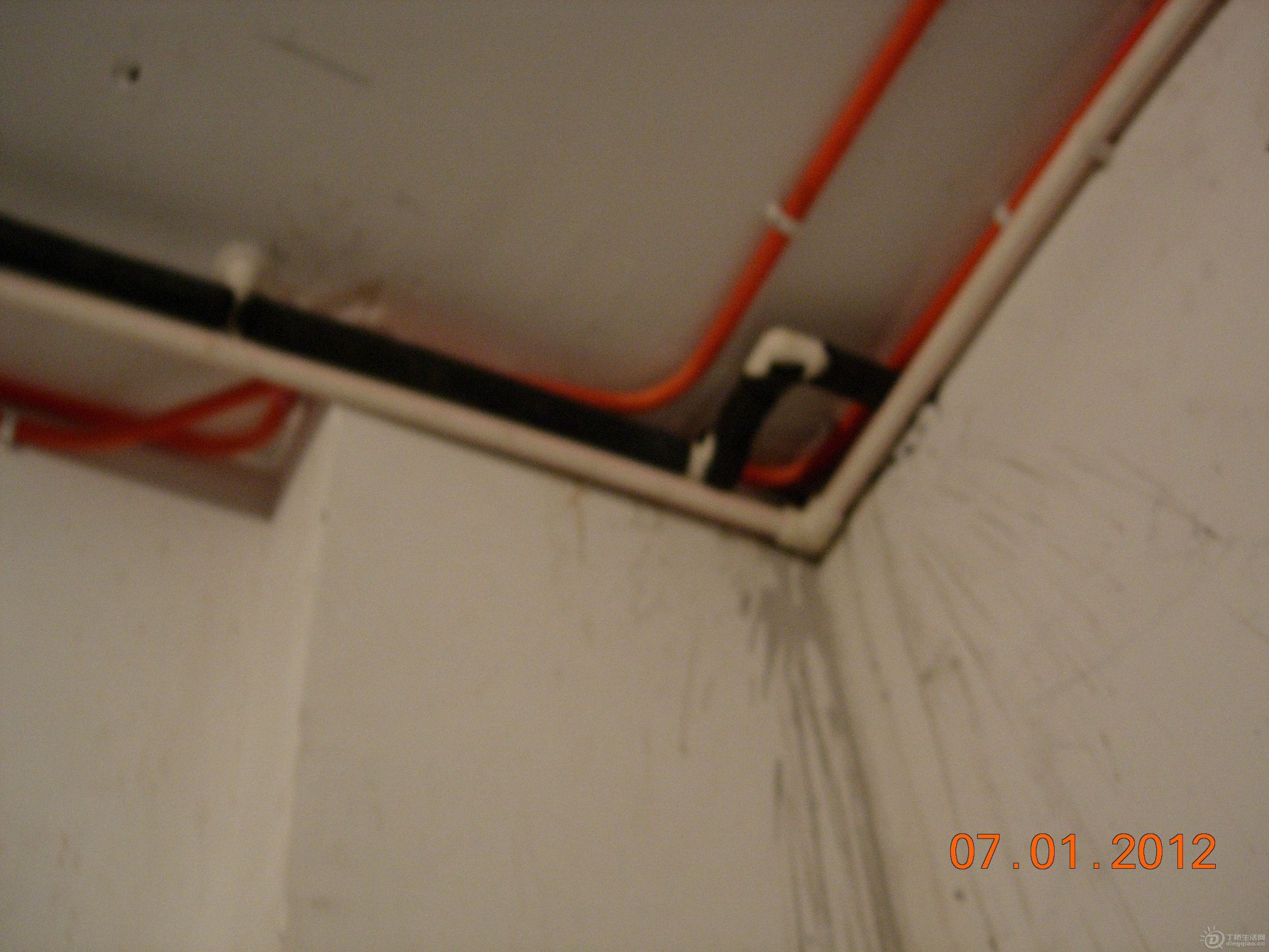 DSCN7106.JPG