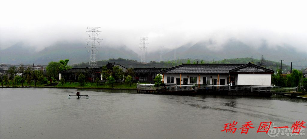 SDC13252.jpg