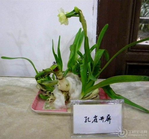 ȸ.jpg