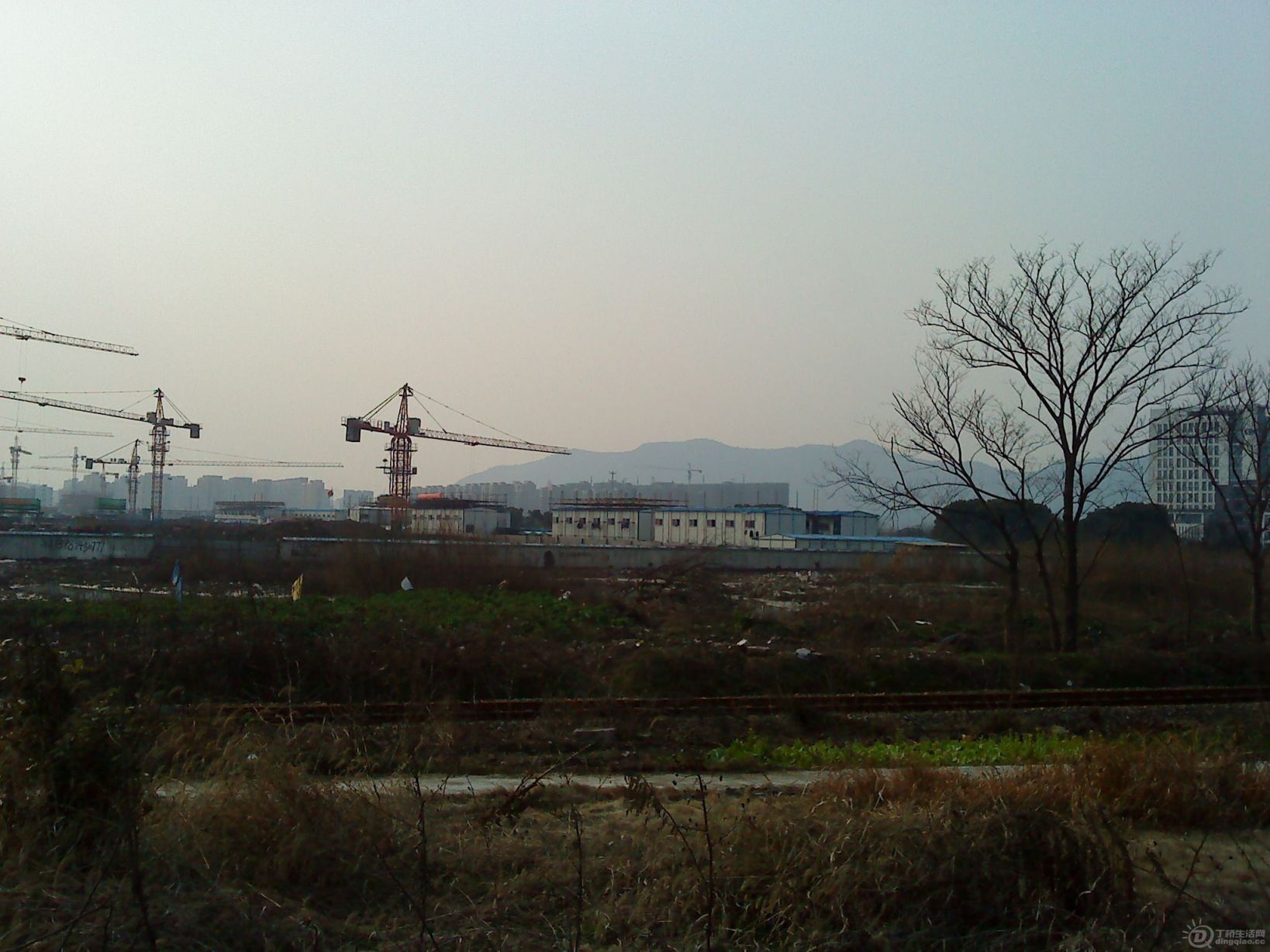 DSC02200.JPG